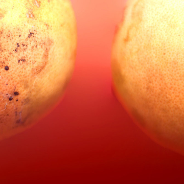 Death Party Album Art